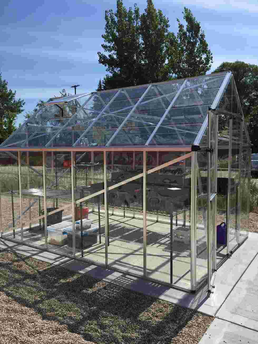 New Greenhouse at AWRI